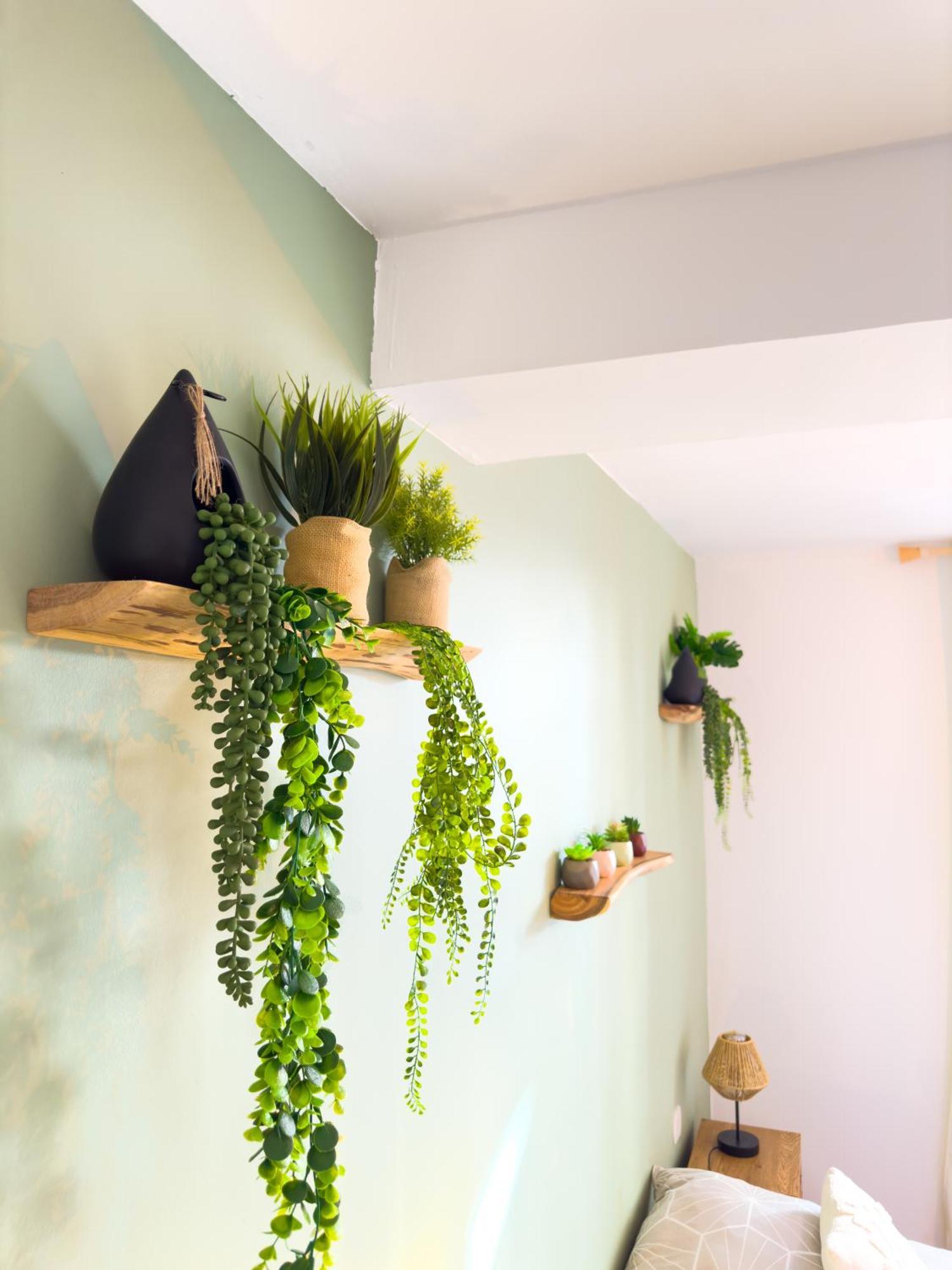 Le Patio ※ Carnot Appartement Carcassonne Buitenkant foto